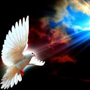 Meet your Posher, Ernesto